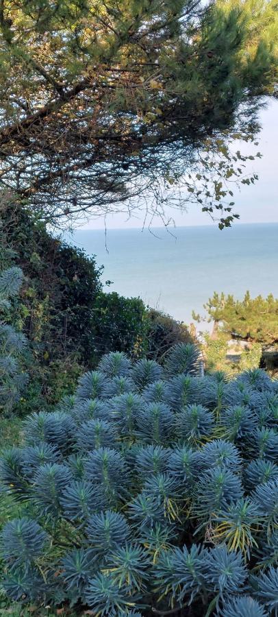 Ferienwohnung Le Cise Eau A Bois Le Bois de Cise Exterior foto